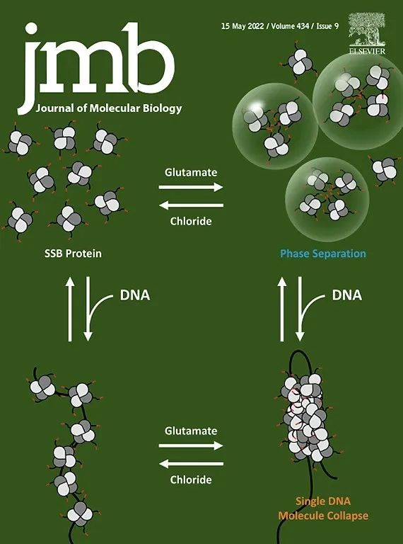 生物学SCI期刊推荐：JOURNAL OF MOLECULAR BIOLOGY-佩普学术