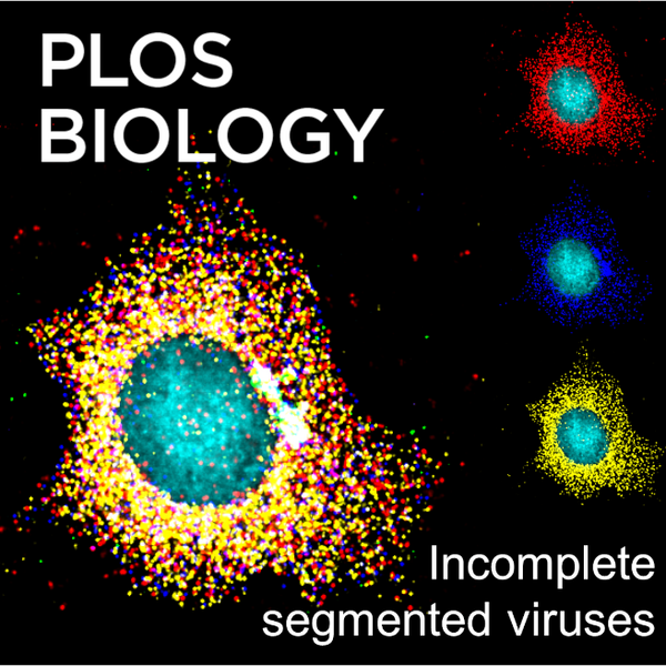 生物学SCI期刊推荐：PLOS Biology-佩普学术